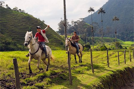 reiter (männlich und weiblich) - Jungen-Reiten in Cocora-Tal, Salento, Kolumbien, Südamerika Stockbilder - Lizenzpflichtiges, Bildnummer: 841-05782711