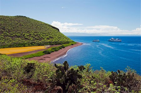 Aux îles Galapagos, l'UNESCO World Heritage Site, en Équateur, en Amérique du Sud Photographie de stock - Rights-Managed, Code: 841-05782919
