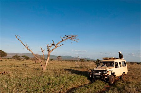 pelado - Lualenyi Game Reserve, Kenya, Afrique de l'est, Afrique Photographie de stock - Rights-Managed, Code: 841-05783194