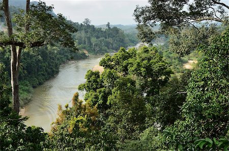 Sungai Tembeling, Taman Negara National Park, Pahang, Malaysia,Southeast Asia, Asia Foto de stock - Con derechos protegidos, Código: 841-05783455