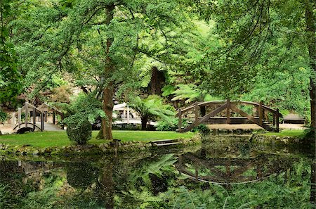 Alfred Nicholas Gardens, le Parc National de Dandenong Ranges, monts Dandenong, Victoria, Australie, Pacifique Photographie de stock - Rights-Managed, Code: 841-05783485