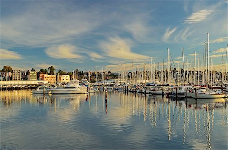 Sandy Bay, Hobart, Tasmania, Australia, Pacific Stock Photo - Rights-Managed, Code: 841-05783551