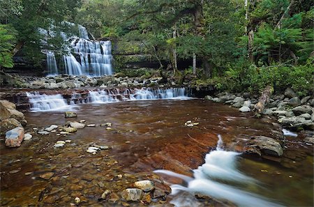 Liffey Falls, UNESCO World Heritage Site, Tasmania, Australia, Pacific Foto de stock - Con derechos protegidos, Código: 841-05783572