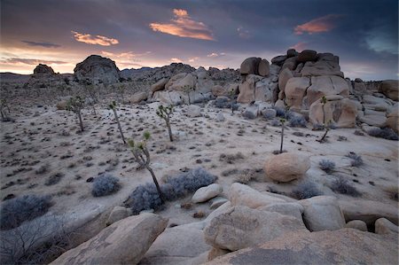 Landscape, Joshua Tree National Park, California, United States of America, North America Foto de stock - Con derechos protegidos, Código: 841-05783641