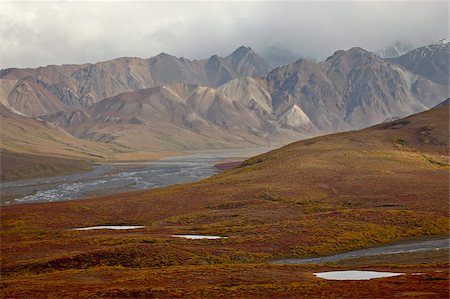 Mountains and tundra in fall color, Denali National Park and Preserve, Alaska, United States of America, North America Foto de stock - Con derechos protegidos, Código: 841-05783829