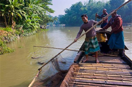 Unique fishing method with fish otters, Bangladesh, Asia Fotografie stock - Rights-Managed, Codice: 841-05794836