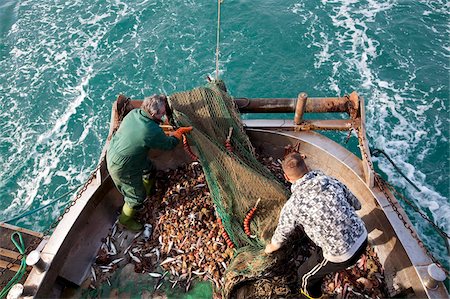 fishing trawler - Trawler in the north Adriatic Sea, Chioggia, Venice province, Veneto, Italy, Europe Stock Photo - Rights-Managed, Code: 841-05795215