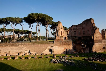 simsearch:841-05784064,k - Palais impérial au Forum Romanum, Palatin, Rome, Lazio, Italie, Europe Photographie de stock - Rights-Managed, Code: 841-05795280