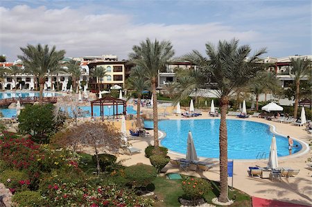 egypt - A palm fringed swimming pool within the Royal Savoy Resort at Sharm el-Sheikh, Egypt, North Africa, Africa Stock Photo - Rights-Managed, Code: 841-05795349