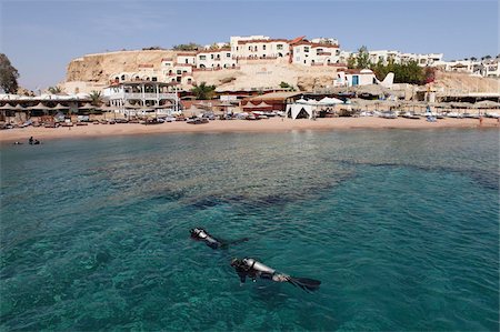 Scuba divers enjoy the clear Red Sea waters at Sharks Bay, Sharm el-Sheikh, Sinai South, Egypt, North Africa, Africa Stock Photo - Rights-Managed, Code: 841-05795352
