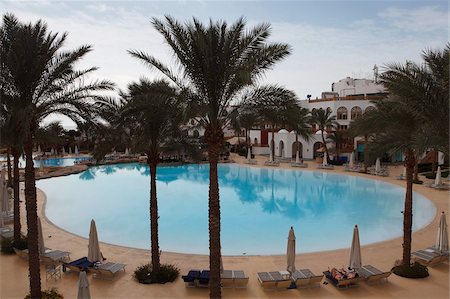 egipto - A palm fringed swimming pool within the Royal Savoy Resort at Sharm el-Sheikh, Egypt, North Africa, Africa Foto de stock - Con derechos protegidos, Código: 841-05795366