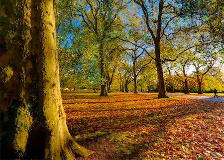 fall city - Hyde Park in autumn, London, England, United Kingdom, Europe Stock Photo - Rights-Managed, Code: 841-05795608