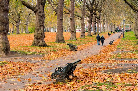 photo of autumn in england - Green Park in autumn, London, England, United Kingdom, Europe Stock Photo - Rights-Managed, Code: 841-05795613