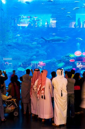 Aquarium, Dubai Mall, Dubai, United Arab Emirates, Middle East Foto de stock - Con derechos protegidos, Código: 841-05795773