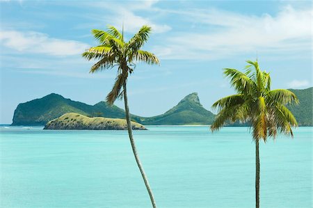 pacific - Endemic Kentia palms, also cultivated for worldwide sale, and lagoon with Mount Eliza beyond, on this 10km long volcanic island in the Tasman Sea, Lord Howe Island, UNESCO World Heritage Site, New South Wales, Australia, Pacific Stock Photo - Rights-Managed, Code: 841-05795793