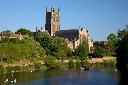 Le cygne tuberculé et barge sur la rivière Severn, printemps de soirée, la cathédrale de Worcester, Worcester, Worcestershire, Angleterre, Royaume-Uni, Europe Photographie de stock - Rights-Managed, Code: 841-05795954