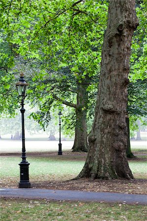 simsearch:841-02899385,k - Green Park, Londres, Royaume-Uni, Europe Photographie de stock - Rights-Managed, Code: 841-05796073