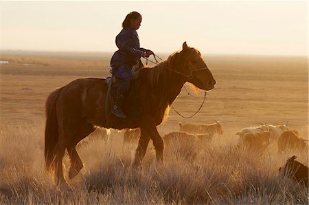 simsearch:841-05796515,k - Young Mongolian girl riding a horse, Province of Khovd, Mongolia, Central Asia, Asia Stock Photo - Rights-Managed, Code: 841-05796500