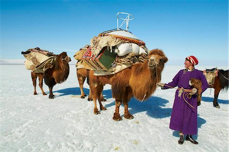 Nomadic transhumance with bactrian camels in snow covered winter landscape, Province of Khovd, Mongolia, Central Asia, Asia Foto de stock - Con derechos protegidos, Código: 841-05796521