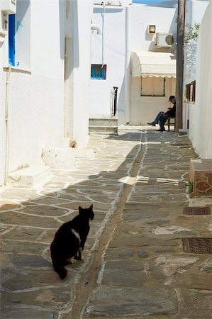 street cat - Cat, Parikia (Hora), Paros Island, Cyclades, Greek Islands, Greece, Europe Stock Photo - Rights-Managed, Code: 841-05796779