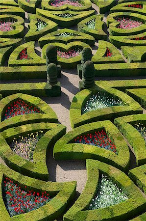 Formal garden at the Chateau de Villandry, UNESCO World Heritage Site, Loire Valley, Indre et Loire, France, Europe Foto de stock - Con derechos protegidos, Código: 841-05796815