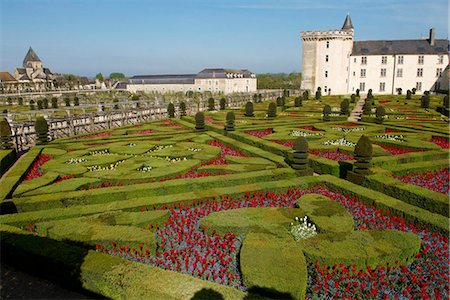 simsearch:841-06807878,k - Chateau de Villandry and garden, UNESCO World Heritage Site, Loire Valley, Indre et Loire, France, Europe Foto de stock - Con derechos protegidos, Código: 841-05796811