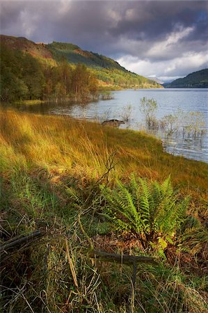 simsearch:841-05796857,k - Belle lumière tôt le matin orageux à Thirlmere, Parc National de Lake District, Cumbria, Angleterre, Royaume-Uni, Europe Photographie de stock - Rights-Managed, Code: 841-05796879