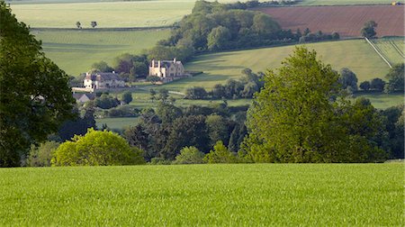 fields and village - Cotswold countryside near Chipping Camden, The Cotswolds, Gloucestershire, England, United Kingdom, Europe Stock Photo - Rights-Managed, Code: 841-05796870