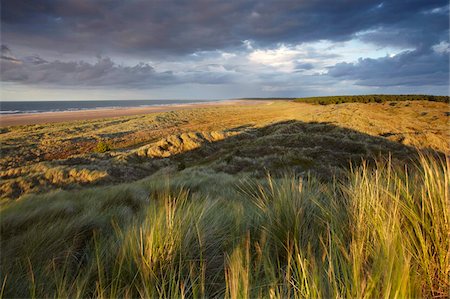 Dramatique dernières lueurs sur les dunes surplombant la baie de Holkham, Norfolk, Angleterre, Royaume-Uni, Europe Photographie de stock - Rights-Managed, Code: 841-05796929