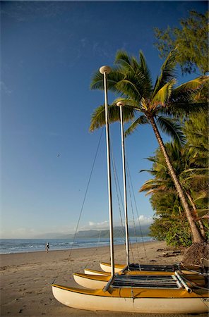 simsearch:841-03067702,k - Four Mile Beach with coconut palm trees, Port Douglas, Queensland, Australia, Pacific Foto de stock - Direito Controlado, Número: 841-05846111