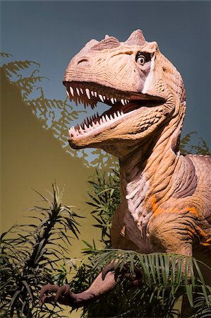 dinosaure - Allosaurus Fragilis dans le Musée d'histoire naturelle et des sciences, Cincinnati Museum Center à Union Terminal, Cincinnati, Ohio, États-Unis d'Amérique, l'Amérique du Nord Photographie de stock - Rights-Managed, Code: 841-05846252