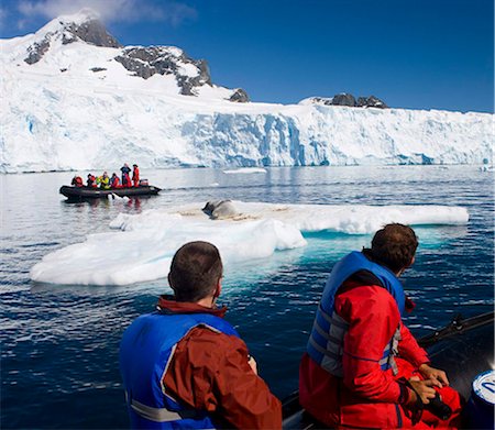 Tourists watch a basking leopard seal from Zodiacs, Cuverville Island, Antarctic Peninsula, Antarctica, Polar Regions Stock Photo - Rights-Managed, Code: 841-05846425