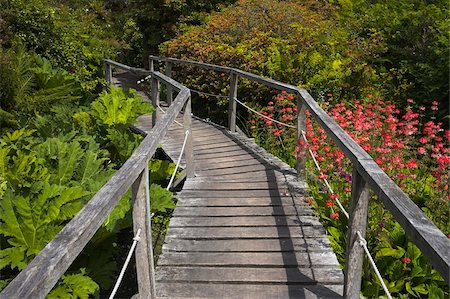 Une promenade à travers les plantes et les fleurs exposées au Furzey jardins, Minstead, New Forest, Hampshire, Angleterre, Royaume-Uni, Europe Photographie de stock - Rights-Managed, Code: 841-05846422