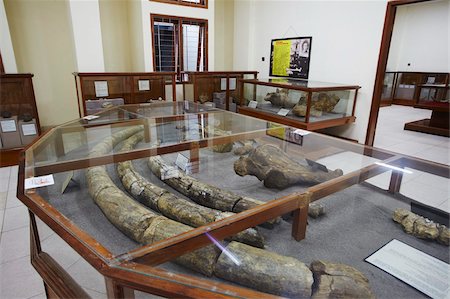 solo java indonesia - Fossil museum at Java Man site, UNESCO World Heritage Site, Sangiran, Solo, Java, Indonesia, Southeast Asia, Asia Stock Photo - Rights-Managed, Code: 841-05846506