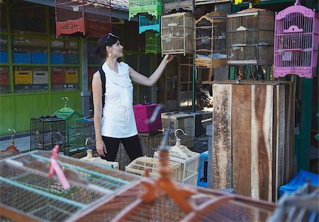 Woman at bird market, Yogyakarta, Java, Indonesia, Southeast Asia, Asia Fotografie stock - Rights-Managed, Codice: 841-05846521