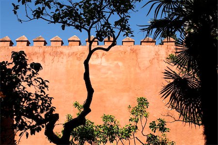 real alcazar - Garden of the Chorron, Real Alcazar, Seville, Andalucia, Spain, Europe Stock Photo - Rights-Managed, Code: 841-05846992