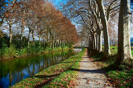 Yellow and red leaves in autumn along the Canal du Midi, UNESCO World Heritage Site, Aude, Languedoc-Roussillon, France, Europe Foto de stock - Con derechos protegidos, Código: 841-05847592