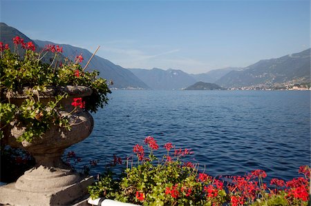 Red geraniums and lake, Bellagio, Lake Como, Lombardy, Italian Lakes, Italy, Europe Foto de stock - Con derechos protegidos, Código: 841-05847852