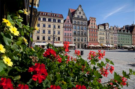 europe town flower - Market Square from restaurant, Old Town, Wroclaw, Silesia, Poland, Europe Stock Photo - Rights-Managed, Code: 841-05848081