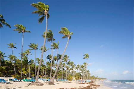 république dominicaine - Plage de Bávaro, Punta Cana, République dominicaine, Antilles, Caraïbes, Amérique centrale Photographie de stock - Rights-Managed, Code: 841-05848359