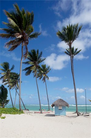 Bavaro Beach, Punta Cana, Dominican Republic, West Indies, Caribbean, Central America Stock Photo - Rights-Managed, Code: 841-05848364