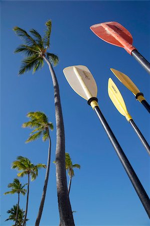 remo (instrumento) - Palms and paddles, Bavaro Beach, Punta Cana, Dominican Republic, West Indies, Caribbean, Central America Foto de stock - Con derechos protegidos, Código: 841-05848396