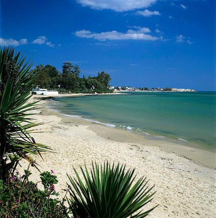 View along beach to the medina from the Sindbad Hotel, Hammamet, Cap Bon, Tunisia, North Africa, Africa Stock Photo - Rights-Managed, Code: 841-05848513