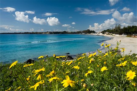 syracuse italy - View over beach in spring, Fontane Bianche, near Siracusa, Sicily, Italy, Mediterranean, Europe Stock Photo - Rights-Managed, Code: 841-05848590