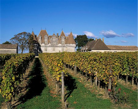 simsearch:841-05847943,k - Chateau de Monbazillac et vignoble près de Bergerac, Dordogne, Aquitaine, France, Europe Photographie de stock - Rights-Managed, Code: 841-05848750