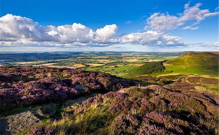 Le chemin de Cleveland, flanqué de heather, Busby Moor, North Yorkshire Moors, Yorkshire, Angleterre, Royaume-Uni, Europe Photographie de stock - Rights-Managed, Code: 841-05848827