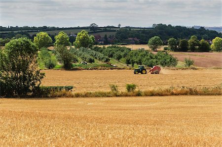 simsearch:841-03870026,k - View across a harvested landscape, Warwickshire, England, United Kingdom, Europe Stock Photo - Rights-Managed, Code: 841-05959677