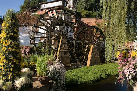 Waterwheel in Main square, Lijiang, Yunnan, China, Asia Stock Photo - Rights-Managed, Code: 841-05959725