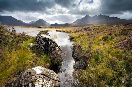 simsearch:841-05847603,k - View over Loch Caol to Sgurr nan Gillean and Marsco, Glen Sligachan, Isle of Skye, Highlands, Scotland, United Kingdom, Europe Foto de stock - Con derechos protegidos, Código: 841-05959742