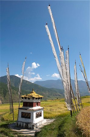 Chorten and prayer flags in the Punakha Valley near Chimi Lhakhang Temple, Punakha, Bhutan, Himalayas, Asia Stock Photo - Rights-Managed, Code: 841-05959754